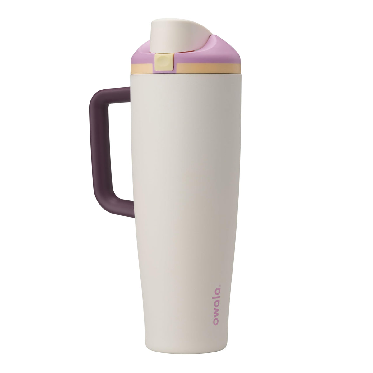 Owala FreeSip Tumbler Insulated Stainless Steel Water Bottle with Built-in Straw and Side Handle, For Travel, Work, School, and Sports, 40oz, BPA Free, Leak Proof, Foggy Tide